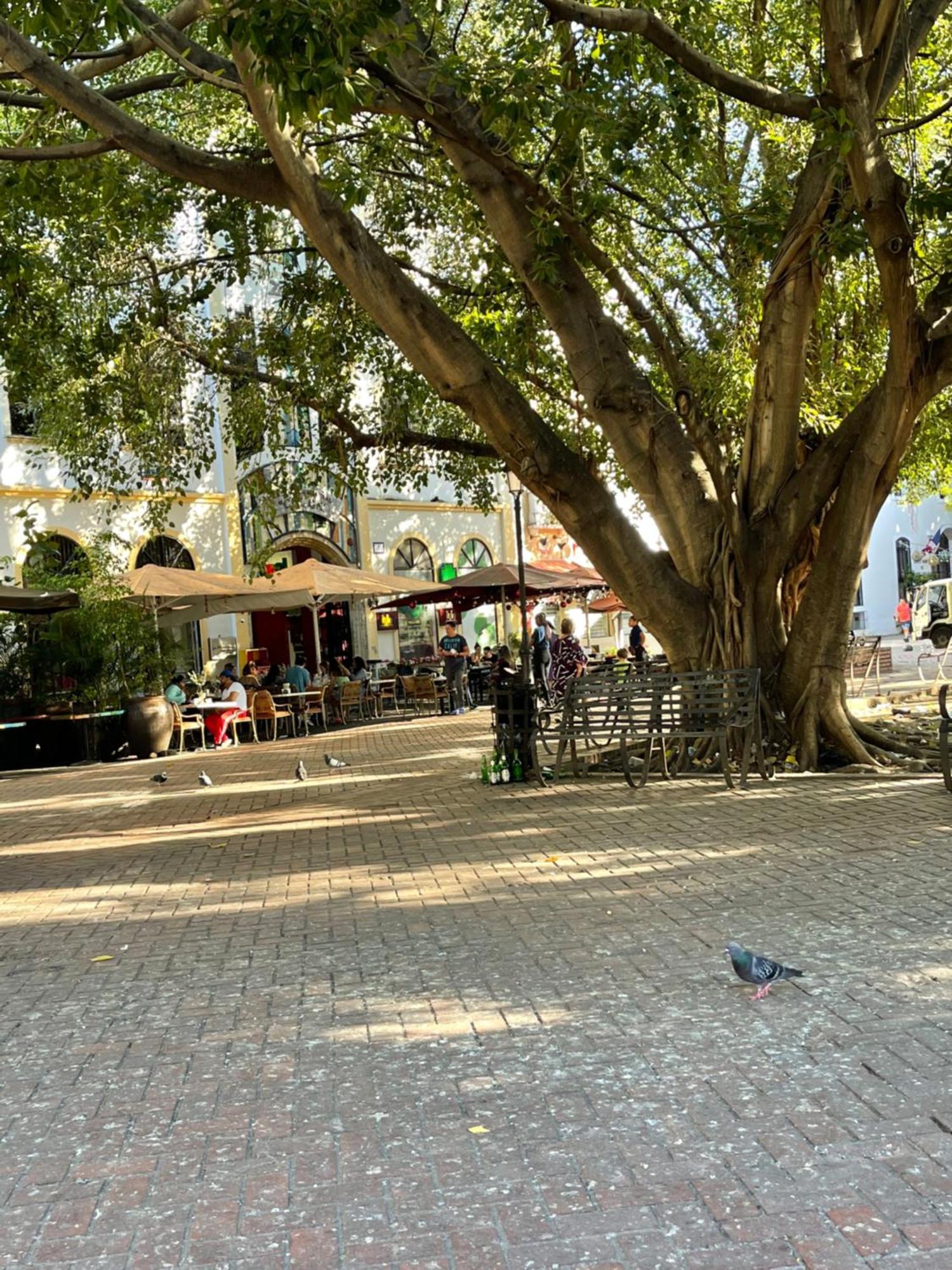 Studio 27 Colonial, Centro Historico Санто-Доминго Экстерьер фото